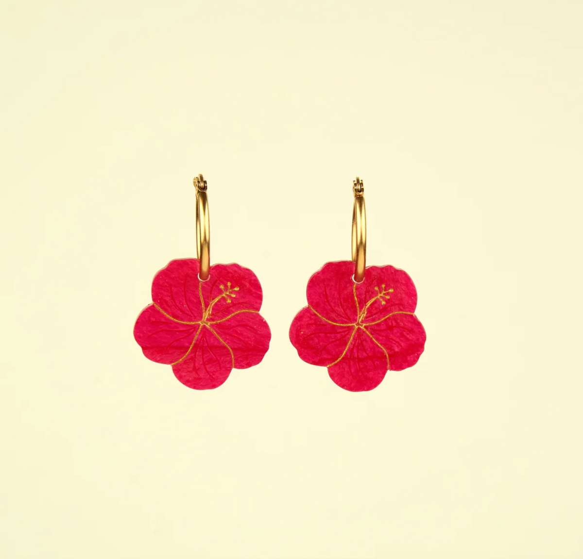 Boucles d'oreilles (différents modèles)