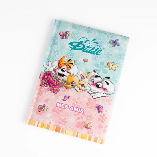 Livre des amis