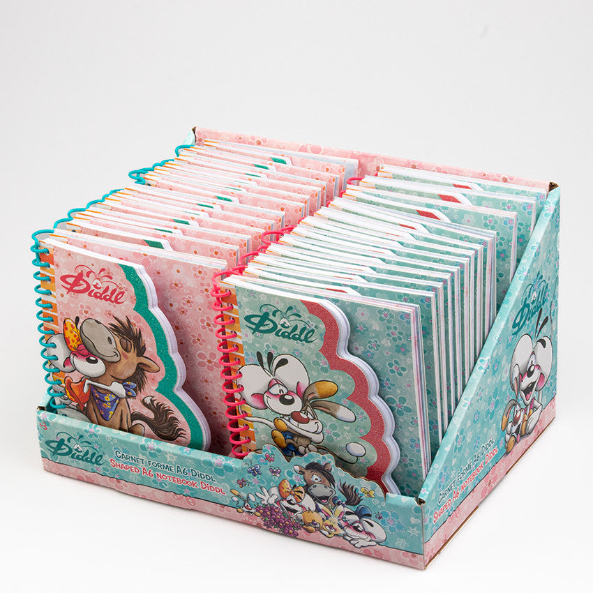 Carnets A6 double page