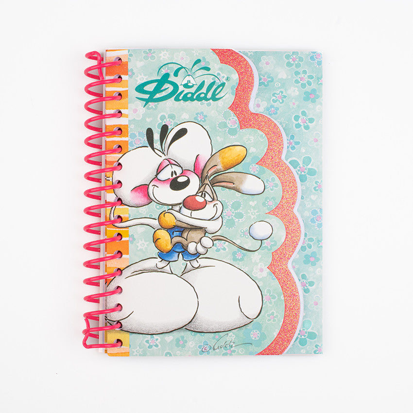 Carnets A6 double page