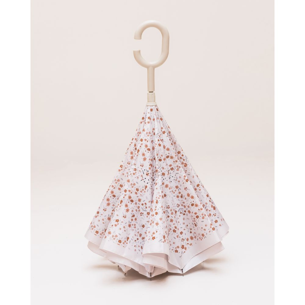 parapluie