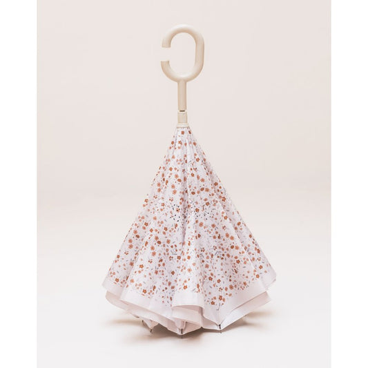 parapluie