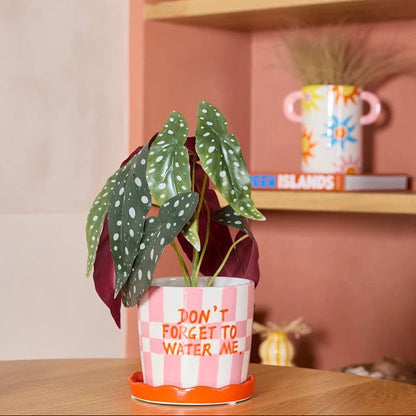 Pot fleurs water