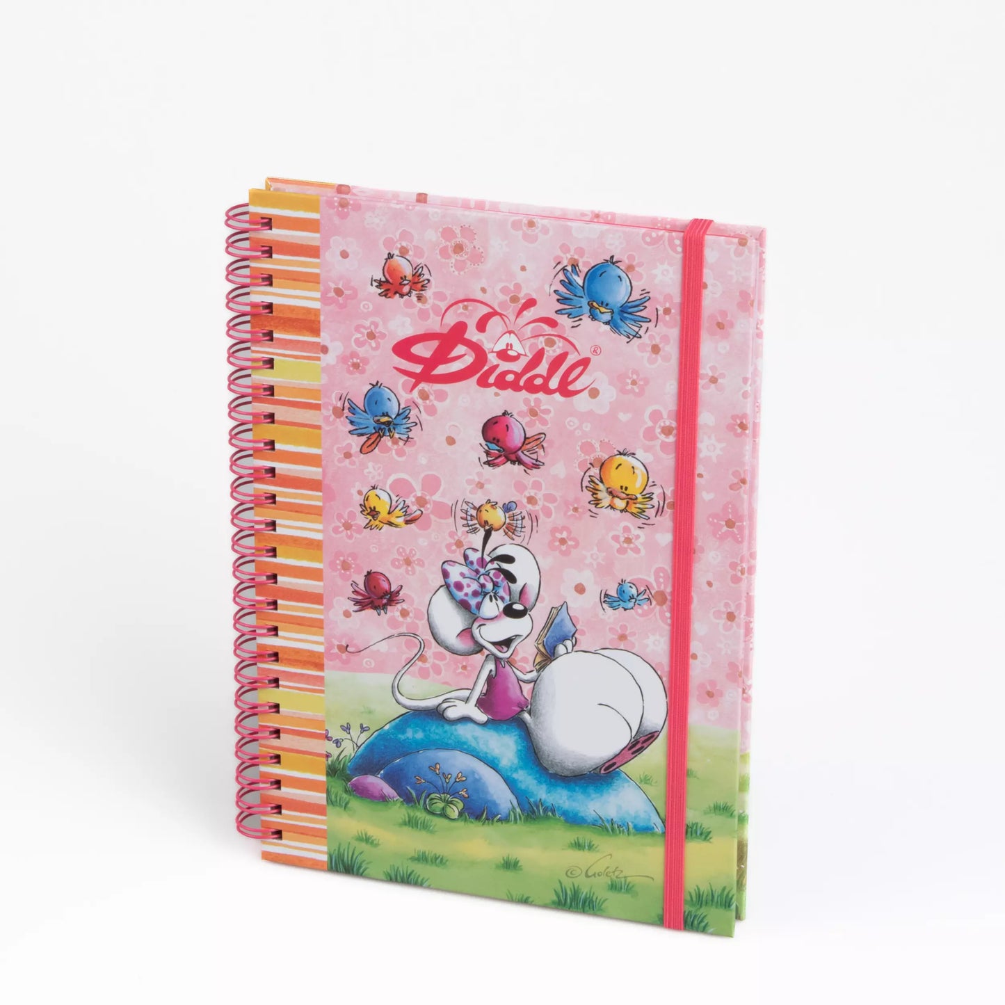 Cahier Spirale A5